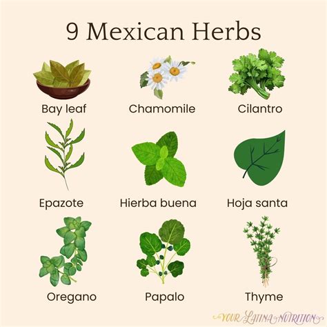 mexican herb to reduce flatulence